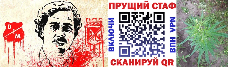 Цена Сельцо ГАШИШ  Марихуана  Кодеин  Мефедрон  КОКАИН 