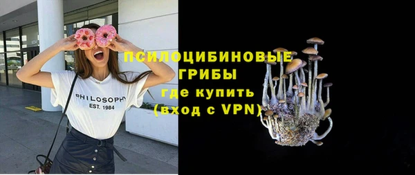 a pvp Аркадак