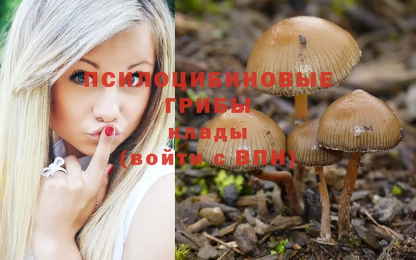 сатива Армянск