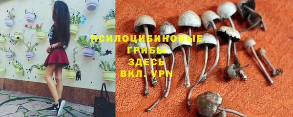 мяу мяу кристалл Балахна