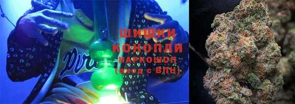 сатива Армянск