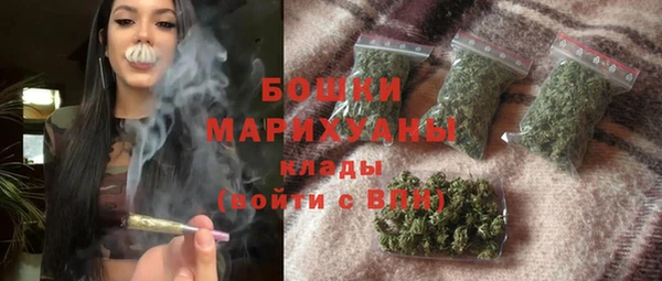 сатива Армянск